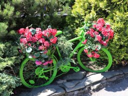 Półkolonie letnie 2025